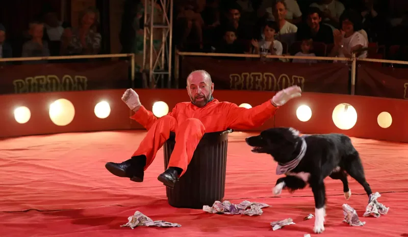 cirque sans animaux sauvages, spectacle familial Menton, cirque Piedon, animaux domestiques cirque, cirque éthique