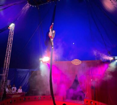 cirque à aix en provence, ciam aix en provence, aix en provence cirque, cirque aix en provence, cirque familial provence